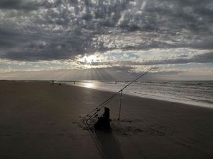 European Bass (Seabass)