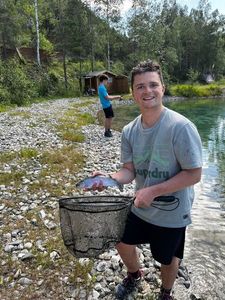 Rainbow Trout