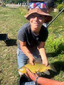 Tench