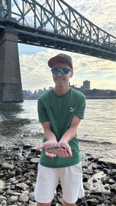 Largemouth Bass