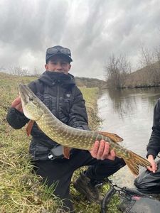 Northern Pike