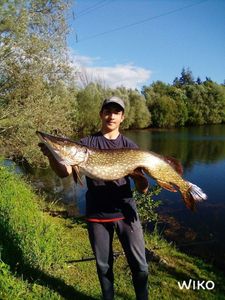 Northern Pike