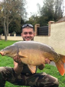 Mirror Carp