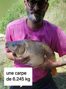 Mirror Carp