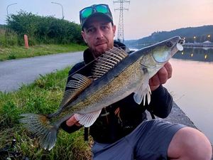 Zander