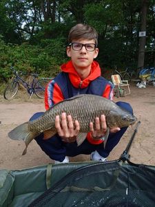 Common Carp