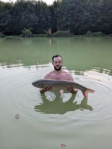 Grass Carp