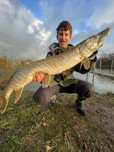 Northern Pike