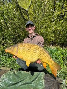 Common Carp