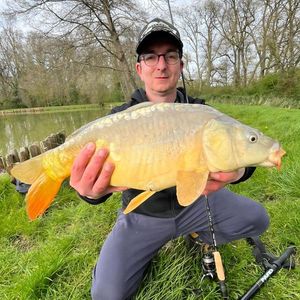 Mirror Carp