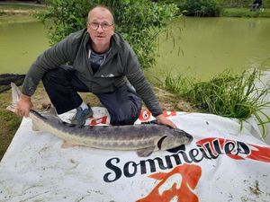 Sturgeon