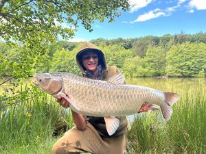 Grass Carp