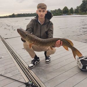 Northern Pike
