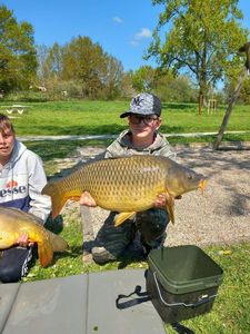 Common Carp