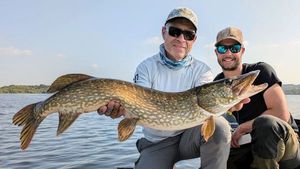 Northern Pike