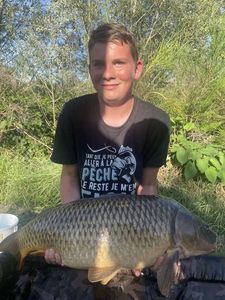 Common Carp