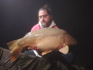 Leather Carp