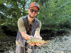 Rainbow Trout