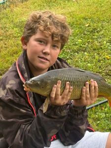 Common Carp