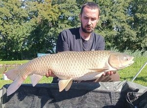 Grass Carp