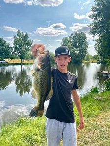 Largemouth Bass