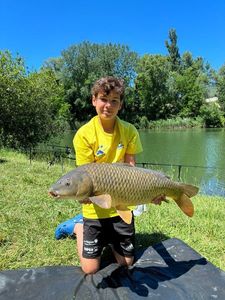 Common Carp