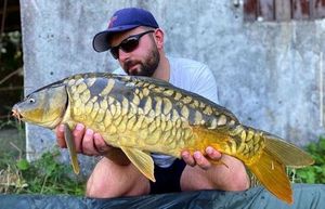 Mirror Carp