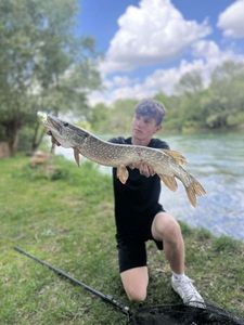 Northern Pike