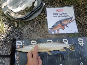 Poisson binome