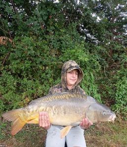 Mirror Carp