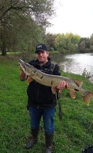Northern Pike