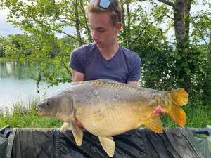 Mirror Carp