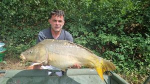 Mirror Carp