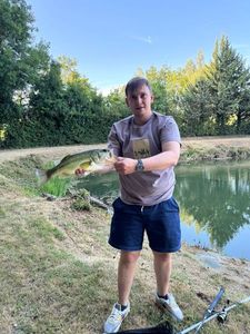 Largemouth Bass