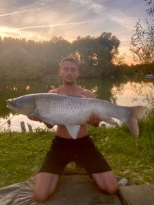 Grass Carp