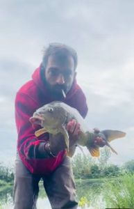 Common Carp