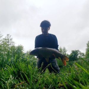 Common Carp