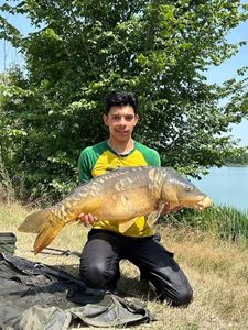 Mirror Carp