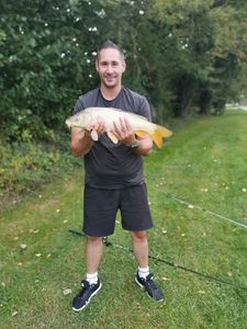 Common Carp