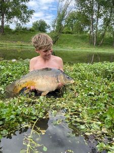 Mirror Carp