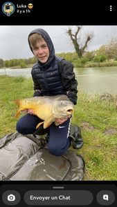 Mirror Carp