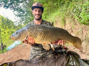 Common Carp