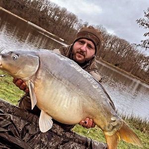 Mirror Carp