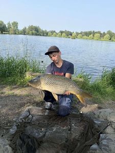 Mirror Carp
