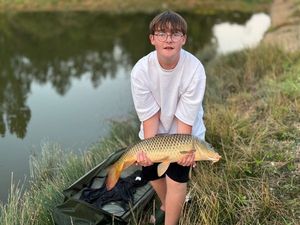 Common Carp