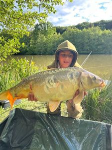 Mirror Carp