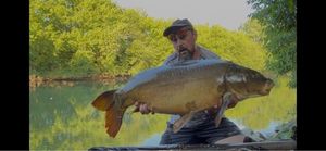 Mirror Carp