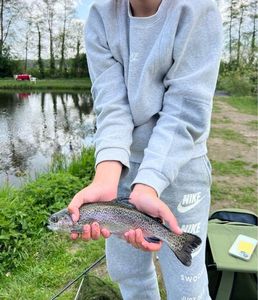 Rainbow Trout