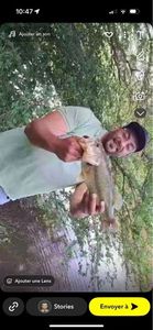 Largemouth Bass