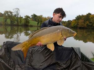 Mirror Carp